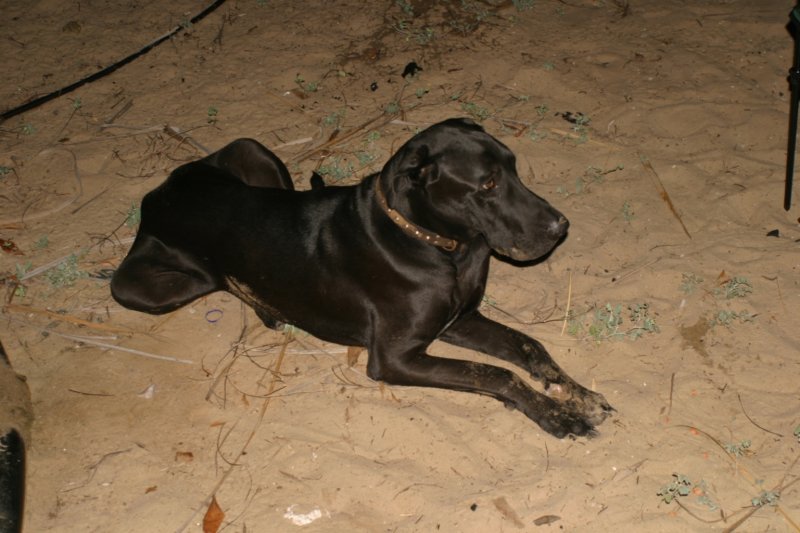 afrika_2004_v02_03990.jpg