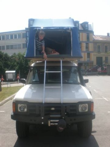 disco_4260.jpg