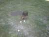 disco_4330_small.jpg