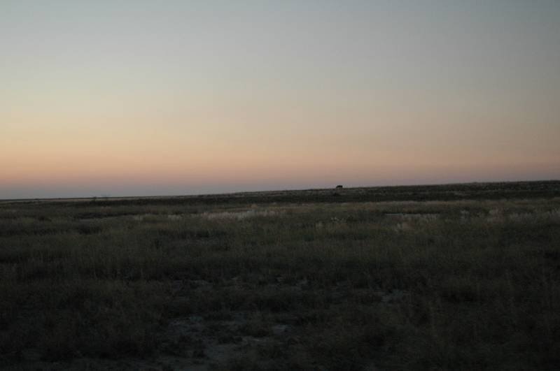 botswana_2005_004.jpg