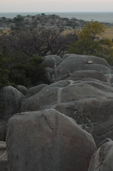 botswana_2005_018.jpg