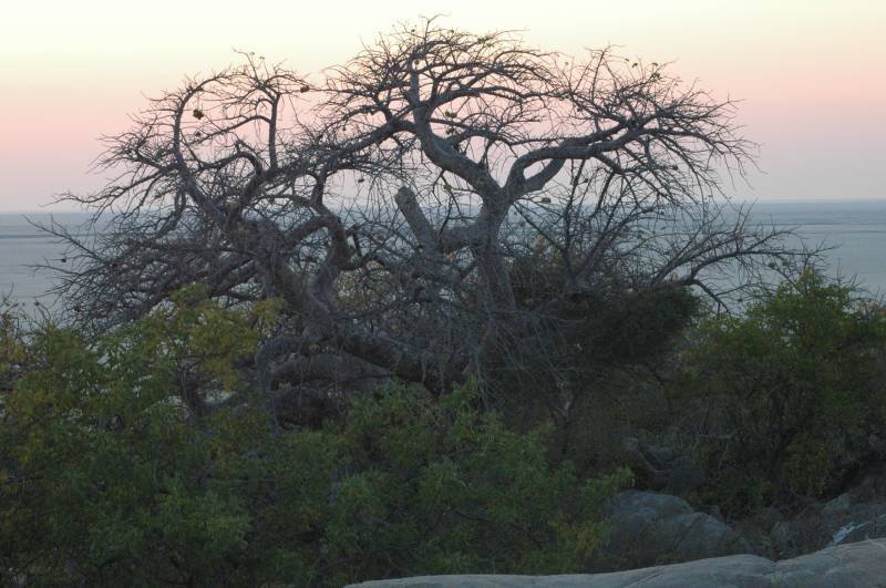 botswana_2005_036.jpg