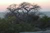 botswana_2005_036_small.jpg