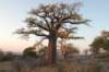 botswana_2005_038_small.jpg