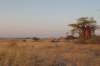botswana_2005_043_small.jpg
