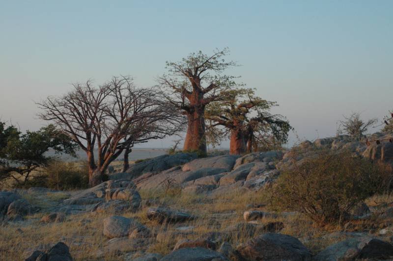 botswana_2005_044.jpg
