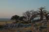 botswana_2005_045_small.jpg