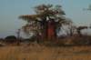 botswana_2005_047_small.jpg