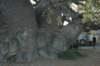 botswana_2005_067_small.jpg