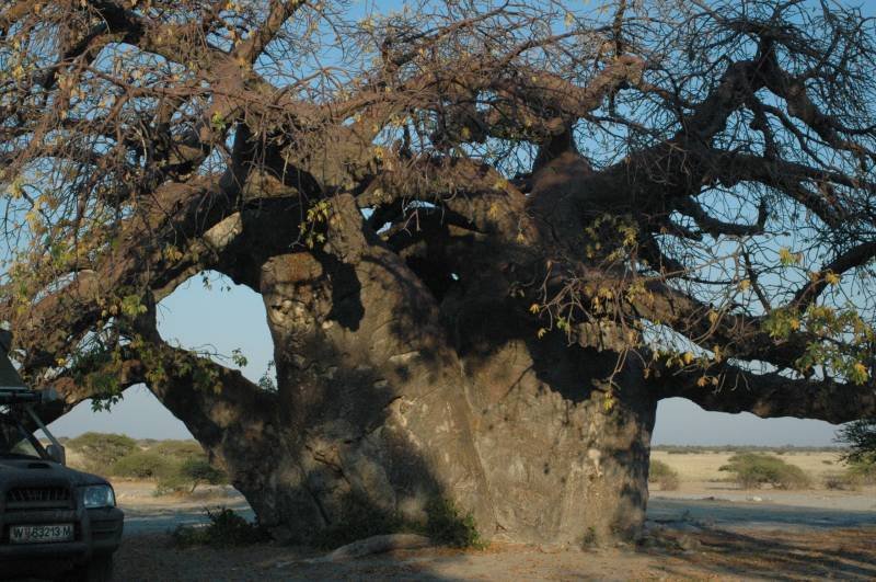 botswana_2005_071.jpg