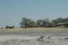botswana_2005_074_small.jpg