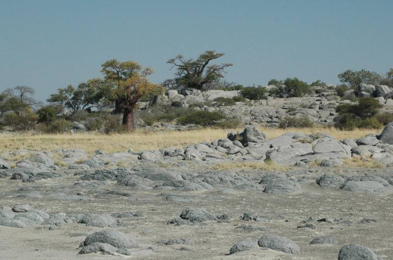 botswana_2005_075.jpg