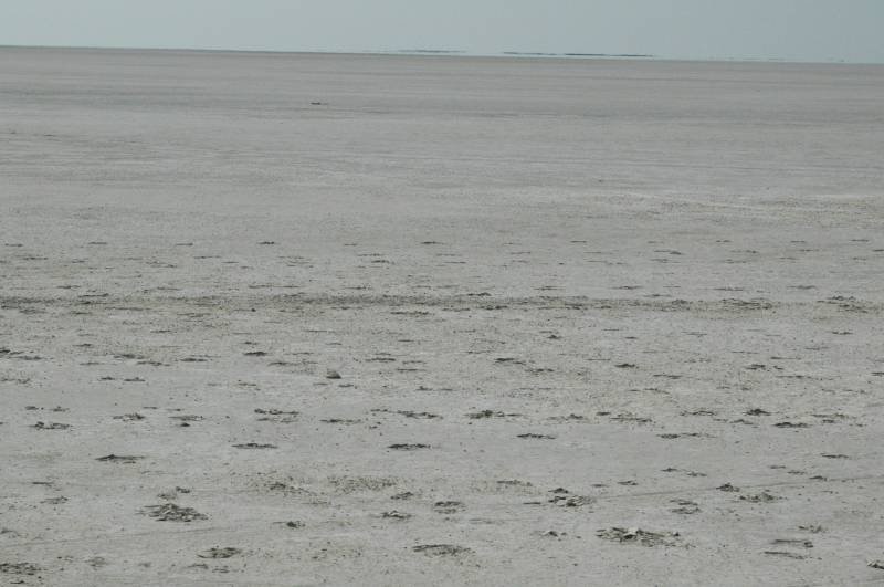 botswana_2005_076.jpg