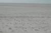 botswana_2005_076_small.jpg