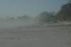 botswana_2005_078_small.jpg