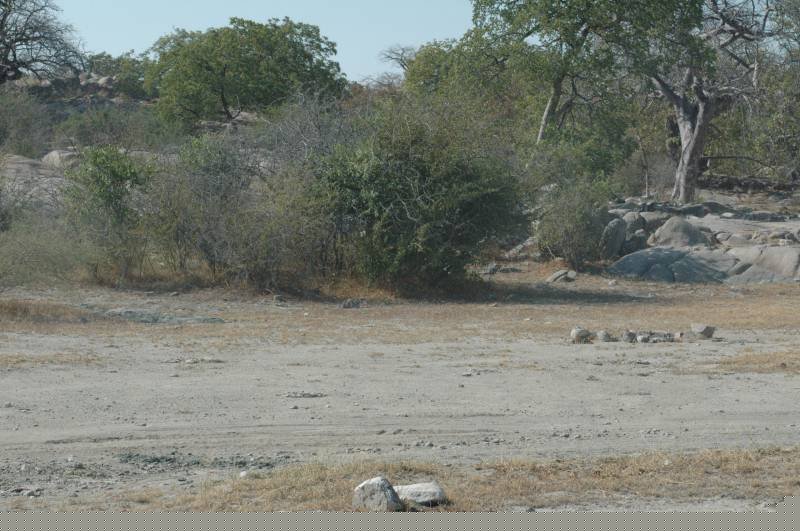 botswana_2005_079.jpg