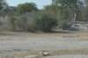 botswana_2005_079_small.jpg