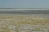 botswana_2005_080_small.jpg