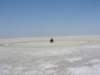 botswana_2005_087_small.jpg