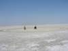 botswana_2005_088_small.jpg