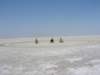 botswana_2005_089_small.jpg