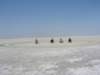botswana_2005_090_small.jpg
