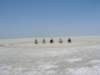 botswana_2005_091_small.jpg