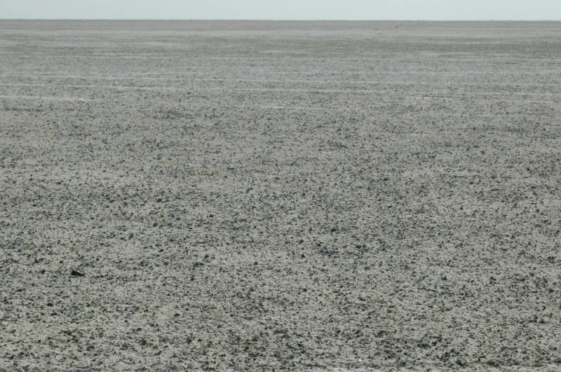 botswana_2005_105.jpg