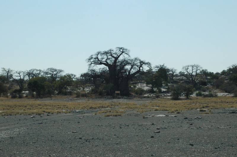 botswana_2005_115.jpg