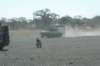 botswana_2005_151_small.jpg