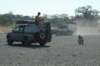 botswana_2005_152_small.jpg